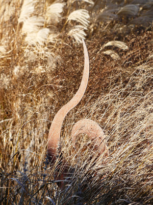 2019-12-15 Gartenimpressionen 4.jpg