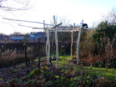 2019-12-15 Pergola 1.jpg