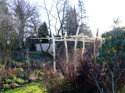2019-12-15 Pergola 4.jpg