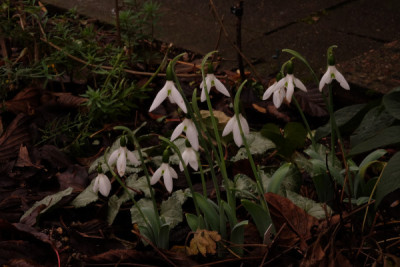 DSCF0723_4337.JPG
