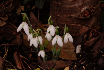 DSCF0720_4336.JPG