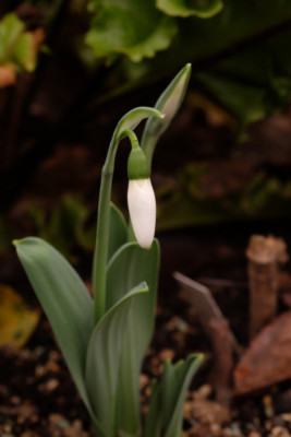 DSCF0714_4334.JPG