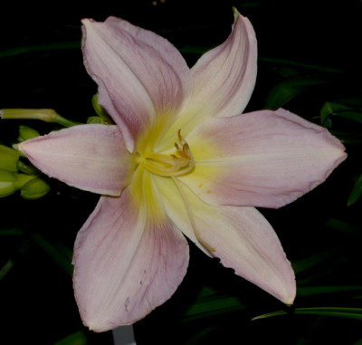 Catherine_Woodbery_07.jpg