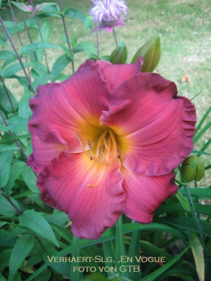 Slg. 'En Vogue'_1076.jpg