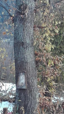 IMG-20191208-WA0011.jpeg
