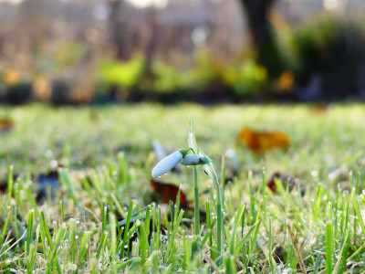 2019-12-21 Gartenimpressionen 4.jpg