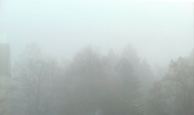 Nebel.jpg