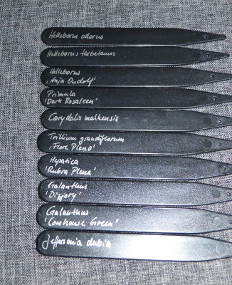 2016-03-16 Pflanzenstecker.jpg