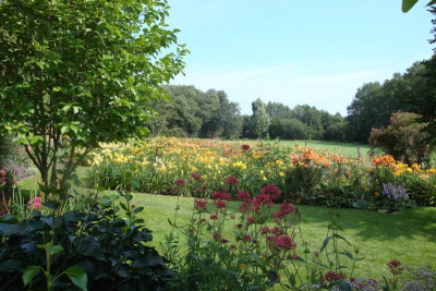 Foto 02.jpg