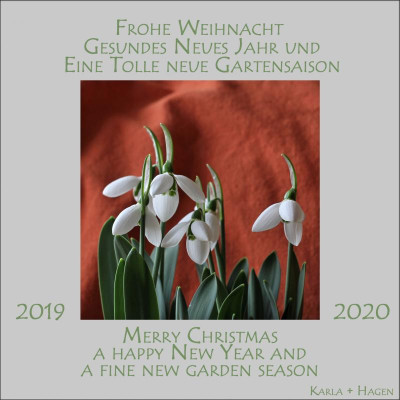 Weihnacht.jpg