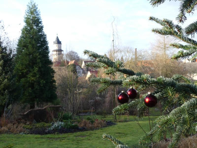2019-12-24 Gartenimpressionen 7.jpg