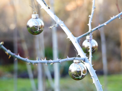 2019-12-24 Gartenimpressionen 3.jpg