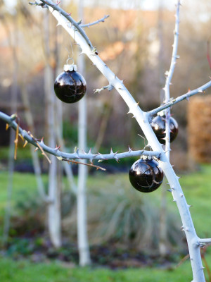 2019-12-24 Gartenimpressionen 1.jpg
