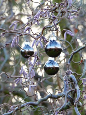 2019-12-24 Gartenimpressionen 11.jpg
