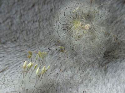 BILD0804.jpg