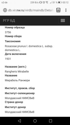Screenshot_20191228-031205.jpg