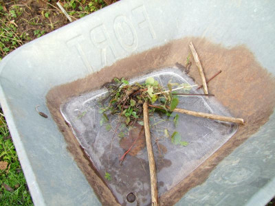 DSCF1960.JPG