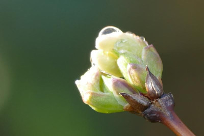 P1000492_c.JPG