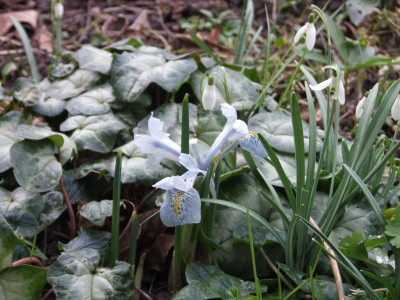DSCF2787.JPG