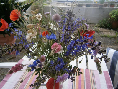 Blumen 16 006.JPG