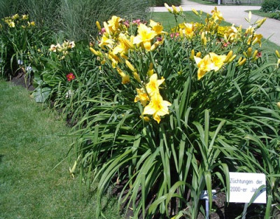 Imgp3828.jpg