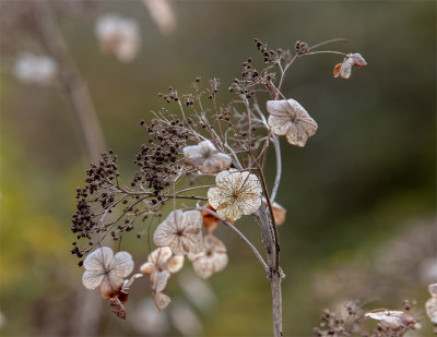 20191230_4.jpg
