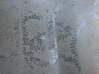 DSC07480.JPG