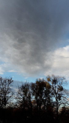 20191230_151428.jpg