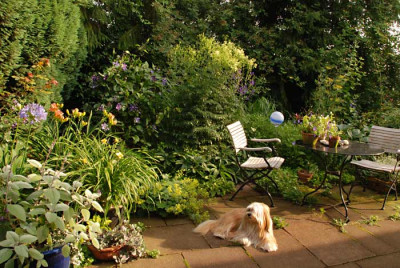 Nord-Terrasse-mit-Wachhund.jpg