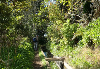 Levada Nova_2.jpg