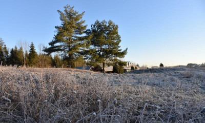 wiese_winter.jpg