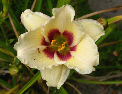 Siloam_Ury_Winniford_2007.jpg