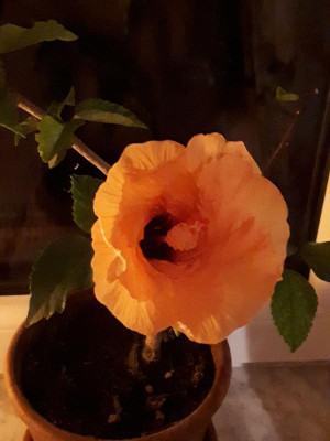 20191227_222245.jpg