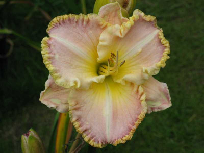 82-07_1875.jpg