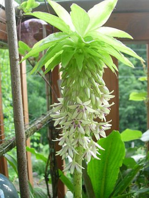 DSCN5733.jpg