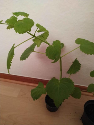 IMG_20200105_195053.jpg