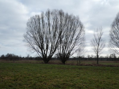 P1060630.JPG