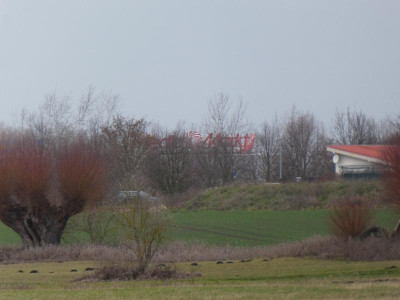 P1060634.JPG
