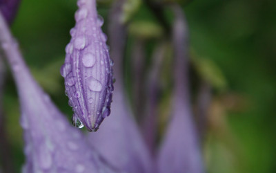 a_drop_kat07_3.jpg