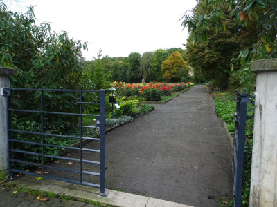 Dahliengarten 1.jpg
