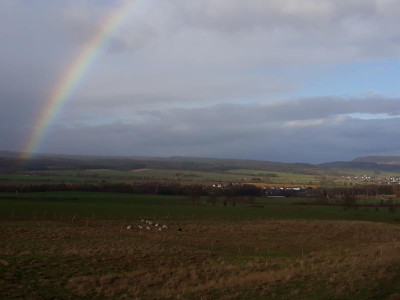 regenbogenschafe.jpg