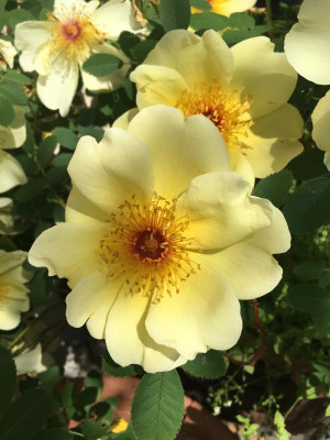 2019-05-24 010.JPG