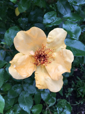 2019-05-29 022.JPG