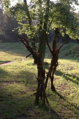 Tanzende-Figuren-im-Abendlicht.jpg