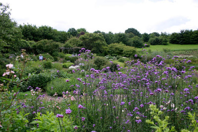 Planten-Treffena8607.jpg
