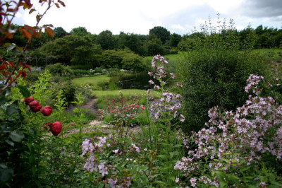 Planten-Treffena8307.jpg