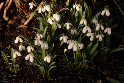 DSCF0932_4395.JPG