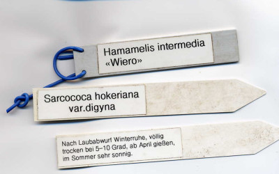 Schilder.jpg