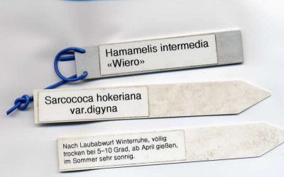 Schildermuster.jpg