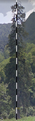 frontal.jpg
